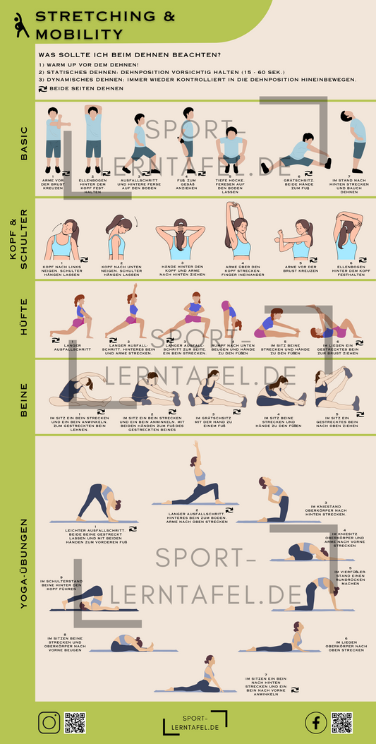 Lerntafel Stretching und Mobility